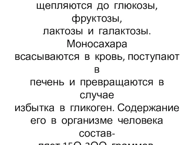 Организм получает углеводы в ви- де крахмала и гликогена. Они рас-