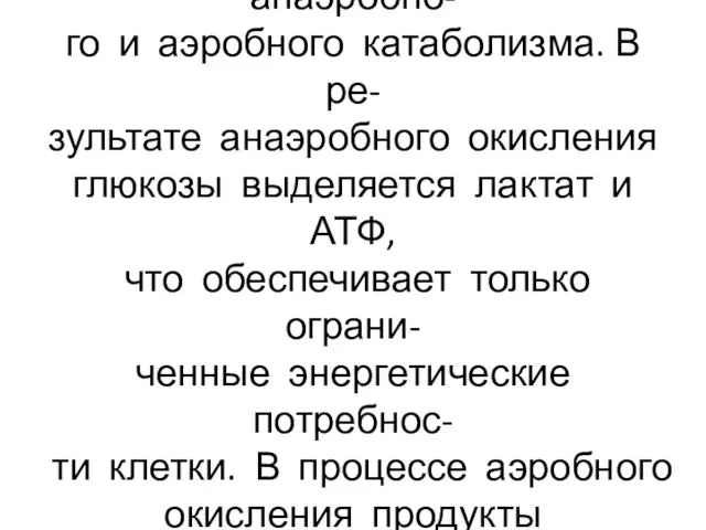 Обеспечение жизнедеятельности осуществляется за счёт анаэробно- го и аэробного катаболизма. В