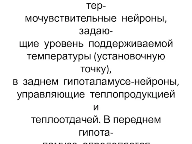 В центре, расположенном в перед- нем гипоталамусе, находятся тер- мочувствительные нейроны,