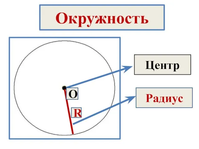 Окружность Центр Радиус O R