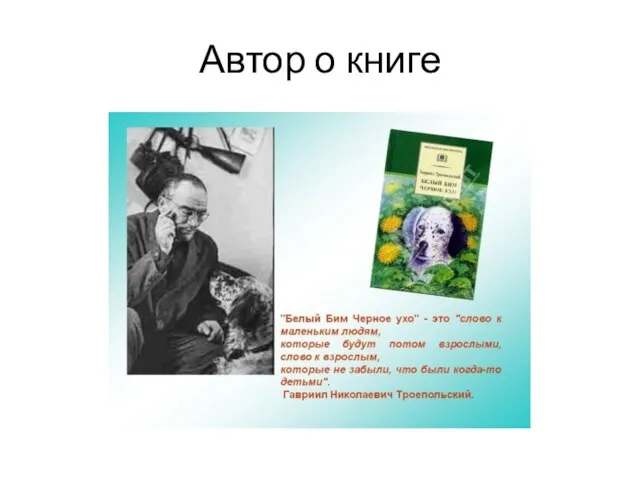 Автор о книге