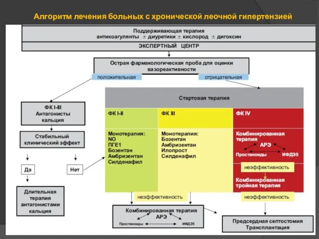 Алгоритм лечения больных с хронической леочной гипертензией