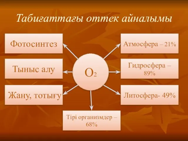 Табиғаттағы оттек айналымы О2 Фотосинтез Тірі организмдер – 68% Тыныс алу