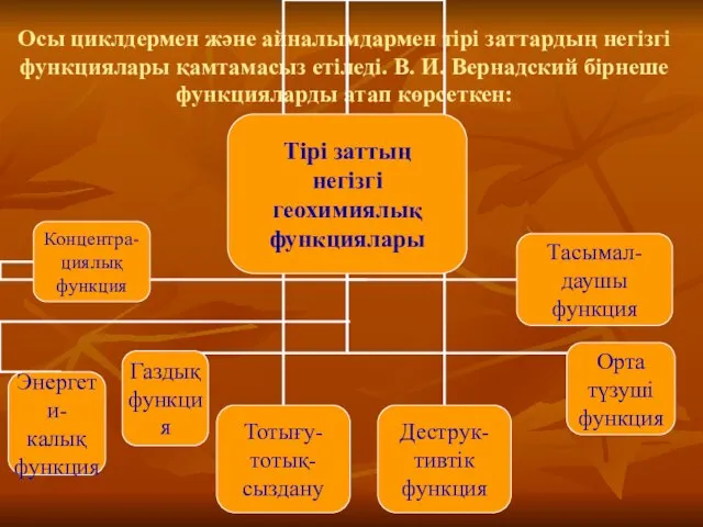 Осы циклдермен және айналымдармен тірі заттардың негізгі функциялары қамтамасыз етіледі. В.