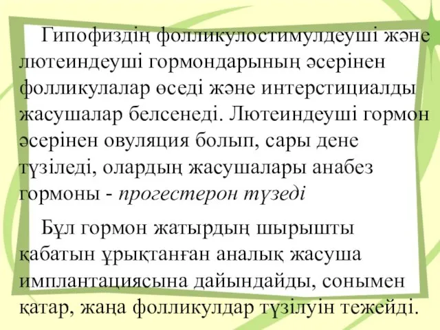 Гипофиздің фолликулостимулдеуші және лютеиндеуші гормондарының әсерінен фолликулалар өседі және интерстициалды жасушалар