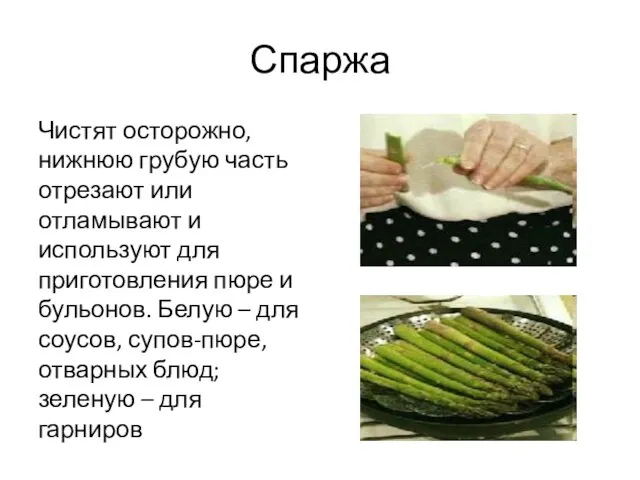 Спаржа Чистят осторожно, нижнюю грубую часть отрезают или отламывают и используют