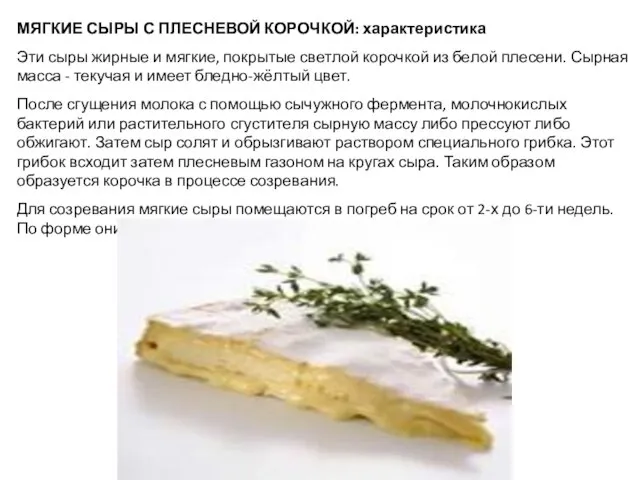 МЯГКИЕ СЫРЫ С ПЛЕСНЕВОЙ КОРОЧКОЙ: характеристика Эти сыры жирные и мягкие,