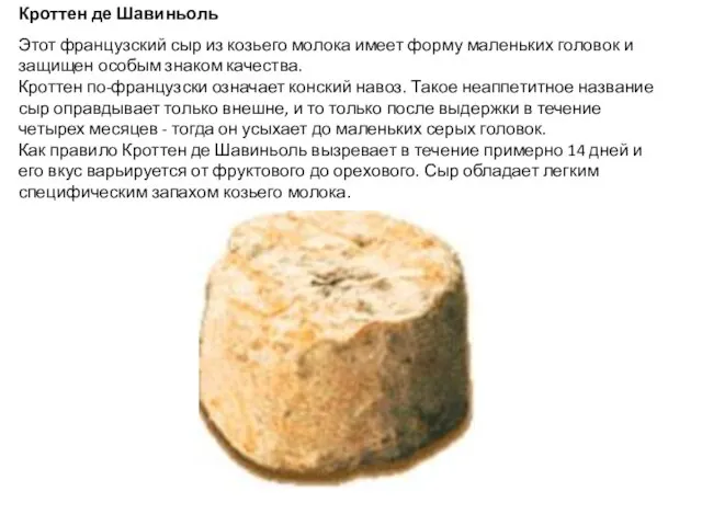 Кроттен де Шавиньоль Этот французский сыр из козьего молока имеет форму
