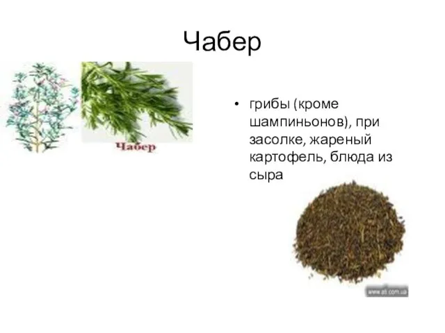 Чабер грибы (кроме шампиньонов), при засолке, жареный картофель, блюда из сыра