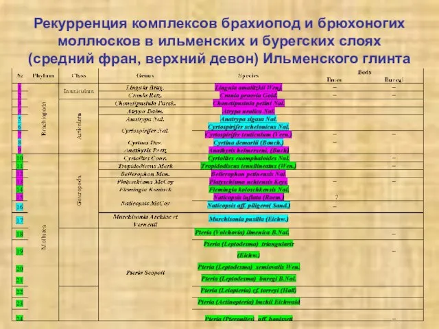 Рекурренция комплексов брахиопод и брюхоногих моллюсков в ильменских и бурегских слоях