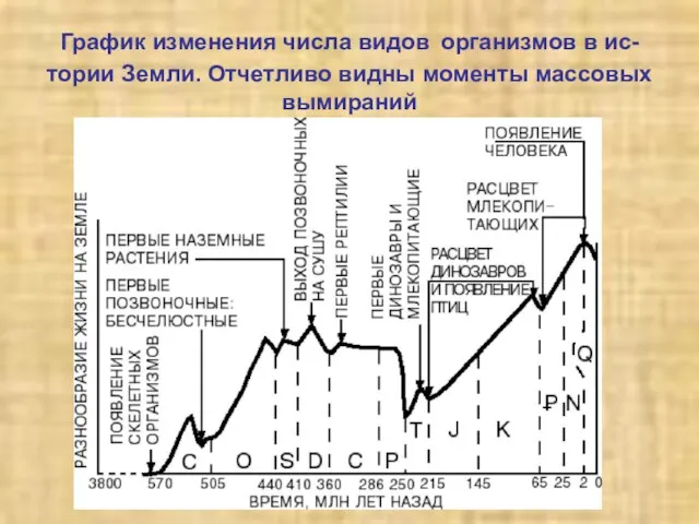 График изменения числа видов организмов в ис- тории Земли. Отчетливо видны моменты массовых вымираний