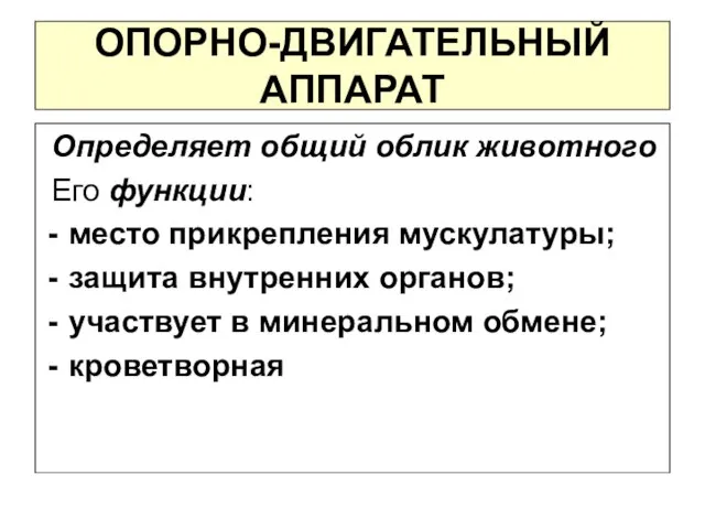 ОПОРНО-ДВИГАТЕЛЬНЫЙ АППАРАТ Определяет общий облик животного Его функции: место прикрепления мускулатуры;