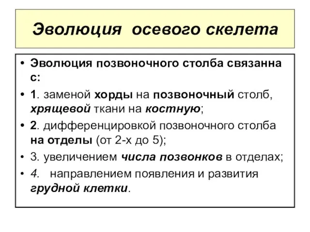 Эволюция осевого скелета Эволюция позвоночного столба связанна с: 1. заменой хорды