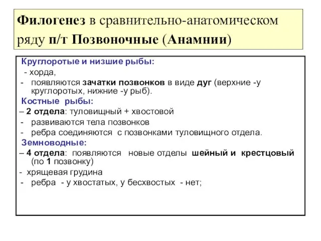 Филогенез в сравнительно-анатомическом ряду п/т Позвоночные (Анамнии) Круглоротые и низшие рыбы: