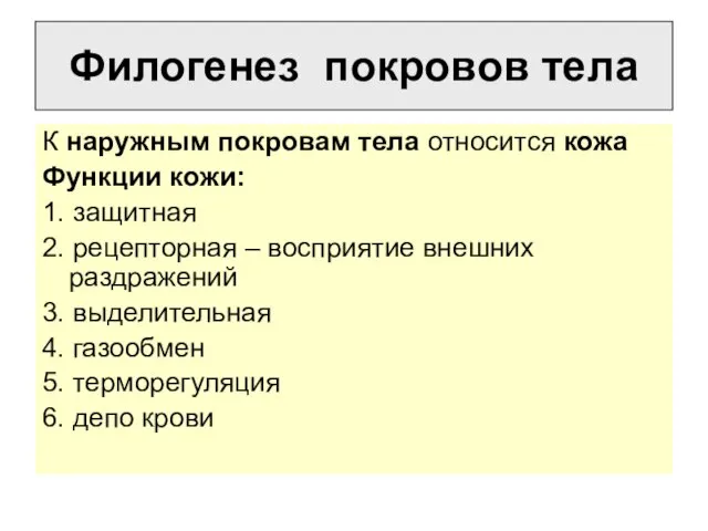 Филогенез покровов тела К наружным покровам тела относится кожа Функции кожи: