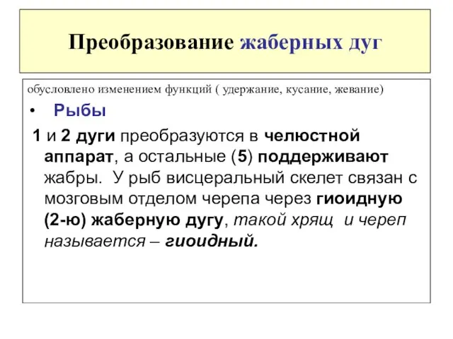 Преобразование жаберных дуг обусловлено изменением функций ( удержание, кусание, жевание) Рыбы