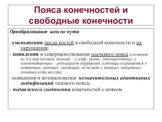 Пояса конечностей и свободные конечности Преобразования шли по пути - уменьшения