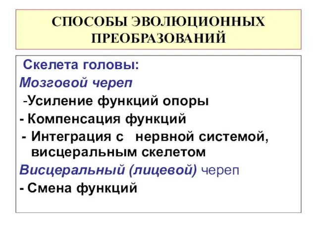 СПОСОБЫ ЭВОЛЮЦИОННЫХ ПРЕОБРАЗОВАНИЙ Скелета головы: Мозговой череп -Усиление функций опоры -