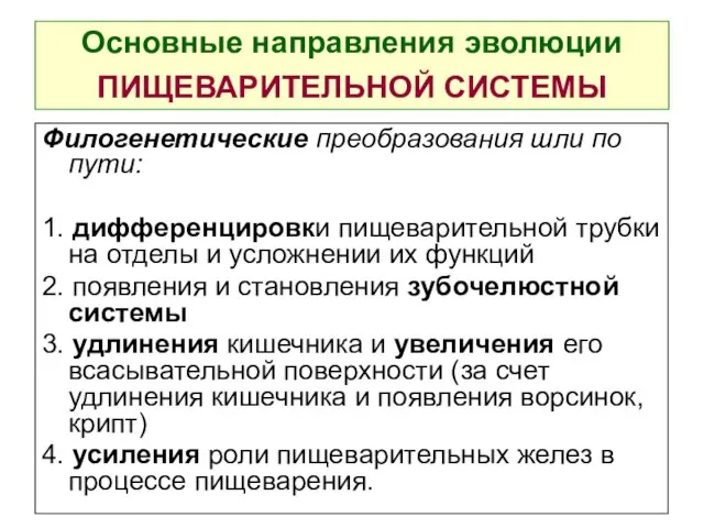 Основные направления эволюции ПИЩЕВАРИТЕЛЬНОЙ СИСТЕМЫ Филогенетические преобразования шли по пути: 1.