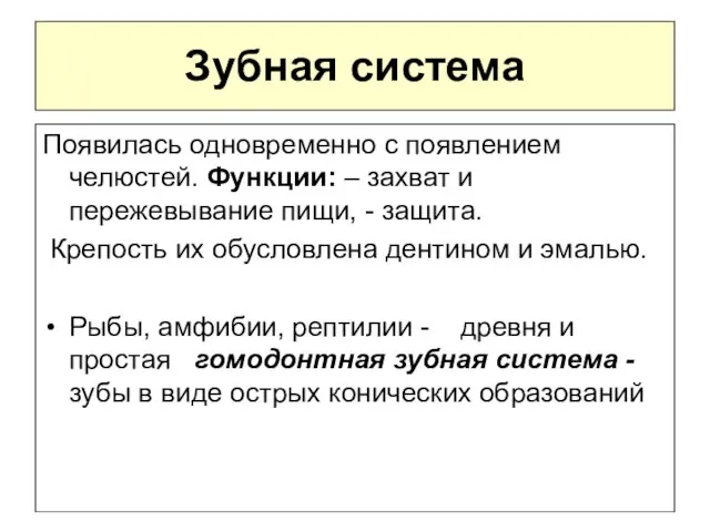 Зубная система Появилась одновременно с появлением челюстей. Функции: – захват и