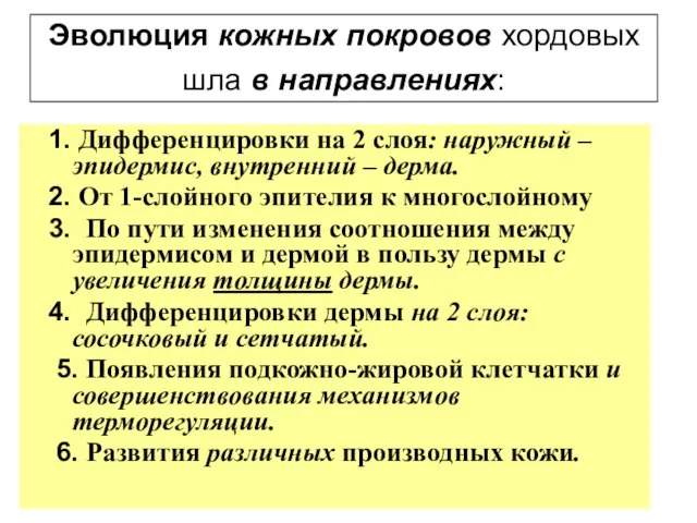 Эволюция кожных покровов хордовых шла в направлениях: 1. Дифференцировки на 2