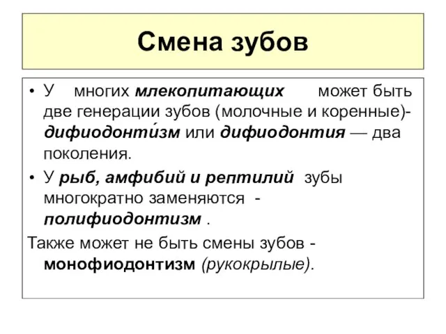 Смена зубов У многих млекопитающих может быть две генерации зубов (молочные