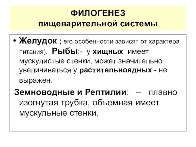 ФИЛОГЕНЕЗ пищеварительной системы Желудок ( его особенности зависят от характера питания).