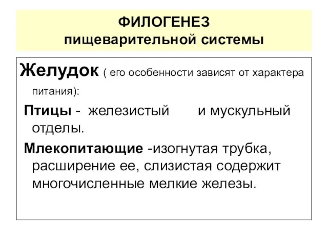 ФИЛОГЕНЕЗ пищеварительной системы Желудок ( его особенности зависят от характера питания):