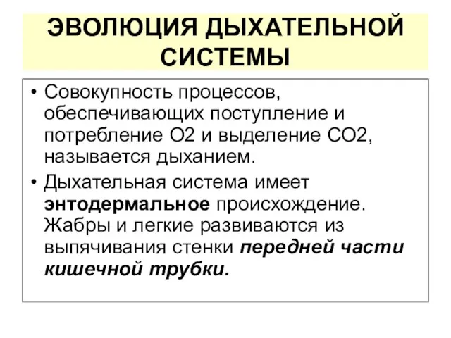 ЭВОЛЮЦИЯ ДЫХАТЕЛЬНОЙ СИСТЕМЫ Совокупность процессов, обеспечивающих поступление и потребление О2 и