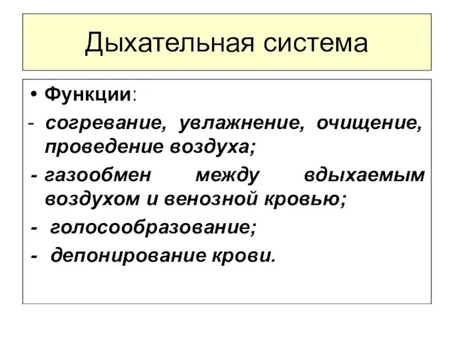 Дыхательная система Функции: - согревание, увлажнение, очищение, проведение воздуха; газообмен между