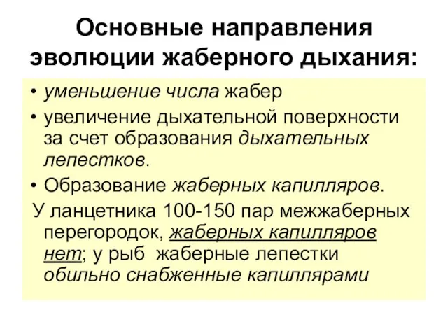 Основные направления эволюции жаберного дыхания: уменьшение числа жабер увеличение дыхательной поверхности