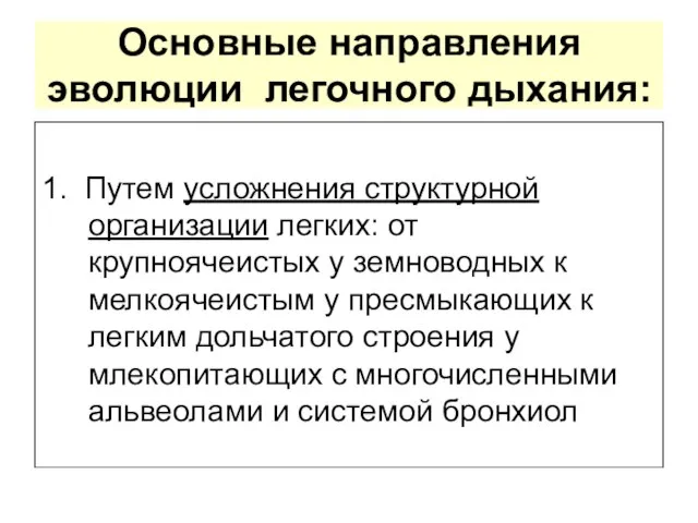 Основные направления эволюции легочного дыхания: 1. Путем усложнения структурной организации легких: