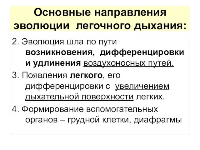 Основные направления эволюции легочного дыхания: 2. Эволюция шла по пути возникновения,