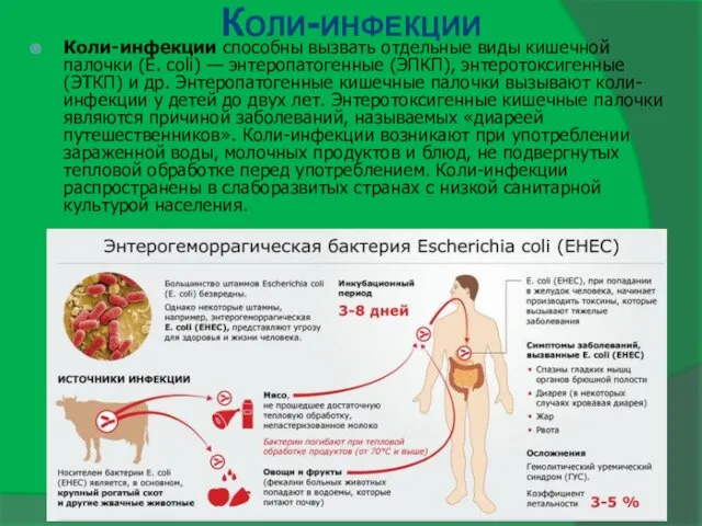 Коли-инфекции Коли-инфекции способны вызвать отдельные виды кишечной палочки (Е. coli) —