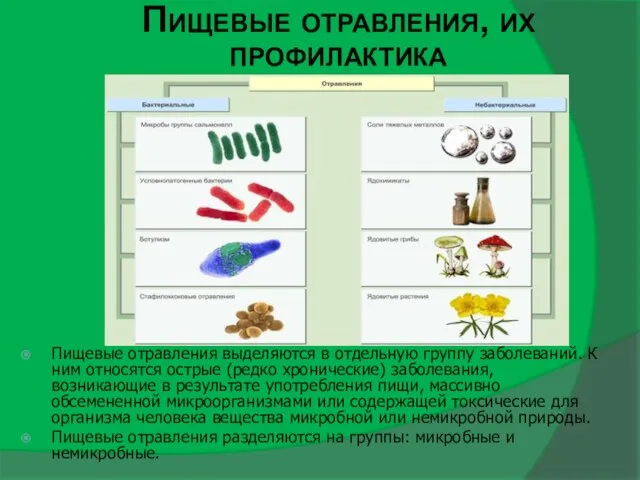 Пищевые отравления, их профилактика Пищевые отравления выделяются в отдельную группу заболеваний.