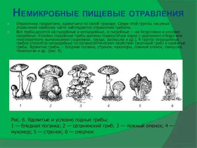 Немикробные пищевые отравления Отравления продуктами, ядовитыми по своей природе. Среди этой