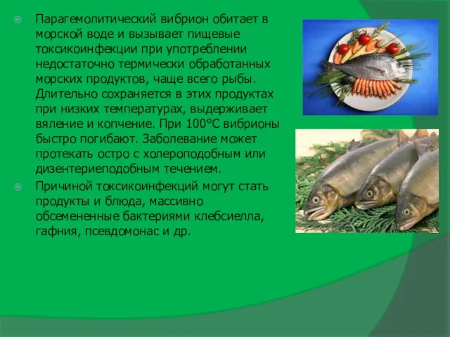 Парагемолитический вибрион обитает в морской воде и вызывает пищевые токсикоинфекции при