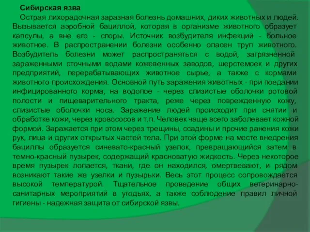 Сибирская язва Острая лихорадочная заразная болезнь домашних, диких животных и людей.