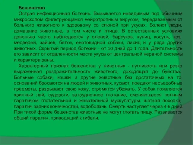 Бешенство Острая инфекционная болезнь. Вызывается невидимым под обычным микроскопом фильтрующимся нейротропным