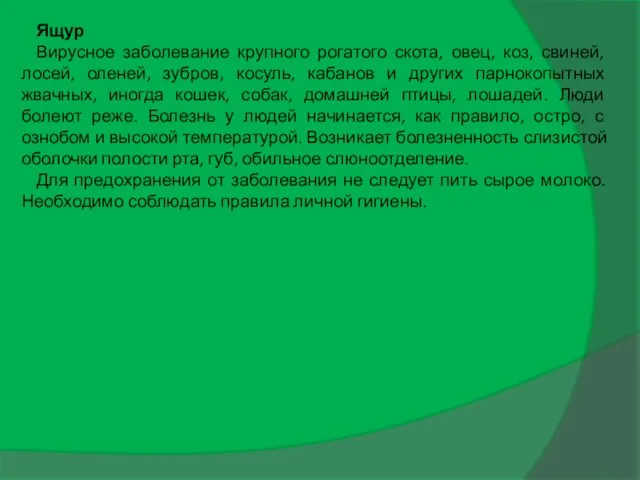 Ящур Вирусное заболевание крупного рогатого скота, овец, коз, свиней, лосей, оленей,