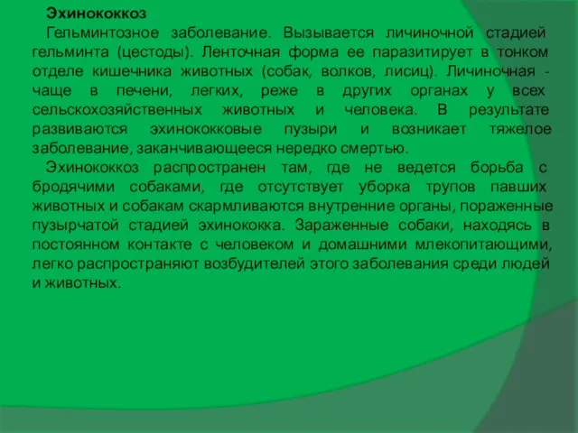 Эхинококкоз Гельминтозное заболевание. Вызывается личиночной стадией гельминта (цестоды). Ленточная форма ее