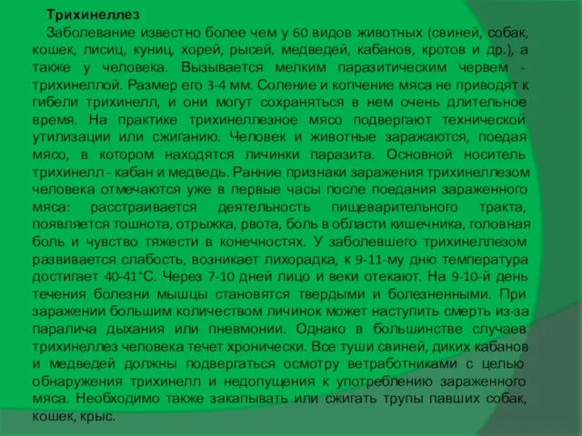 Трихинеллез Заболевание известно более чем у 60 видов животных (свиней, собак,