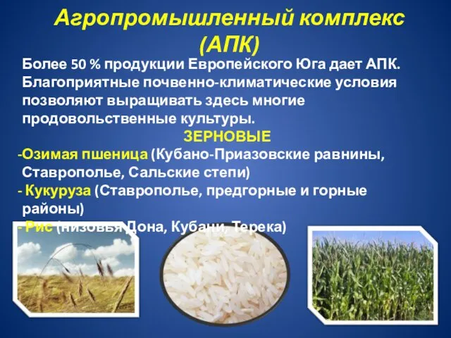 Агропромышленный комплекс (АПК) Более 50 % продукции Европейского Юга дает АПК.