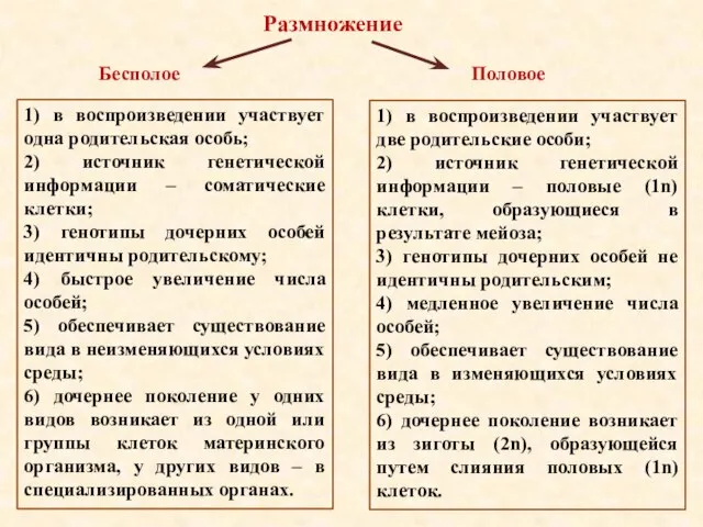 1) в воспроизведении участвует одна родительская особь; 2) источник генетической информации