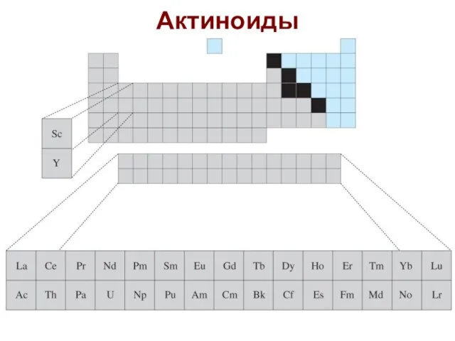 Актиноиды