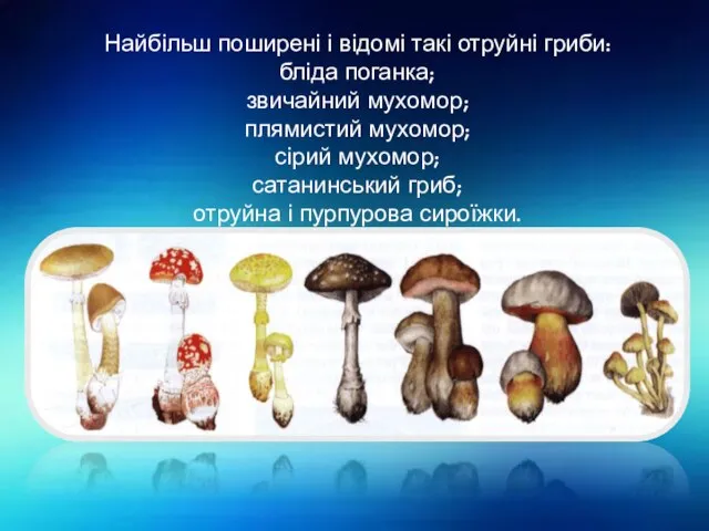 Найбільш поширені і відомі такі отруйні гриби: бліда поганка; звичайний мухомор;