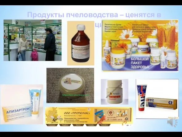 Продукты пчеловодства – ценятся в медицине