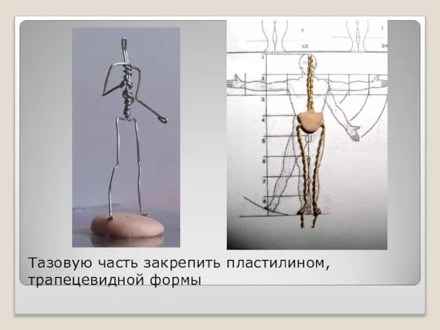 Тазовую часть закрепить пластилином, трапецевидной формы