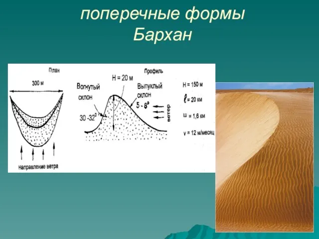 поперечные формы Бархан