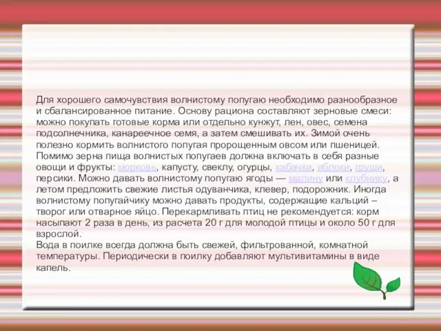 Для хорошего самочувствия волнистому попугаю необходимо разнообразное и сбалансированное питание. Основу